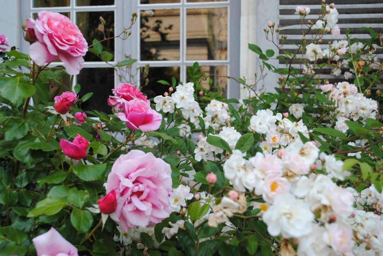 Bed and Breakfast Le Ragois Richelieu Exterior foto