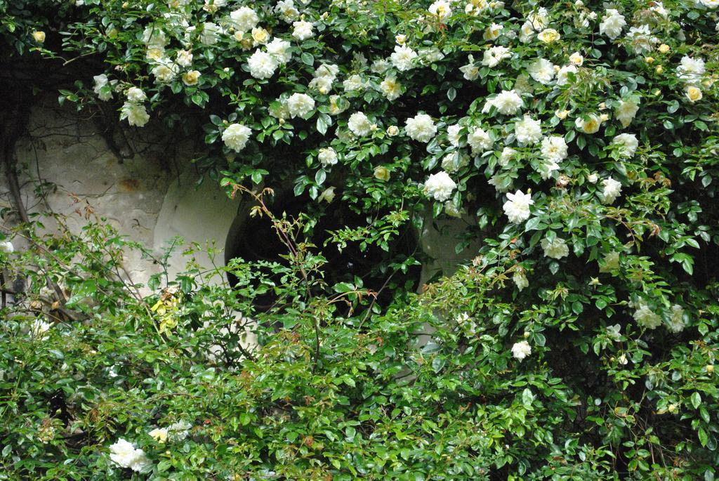 Bed and Breakfast Le Ragois Richelieu Exterior foto