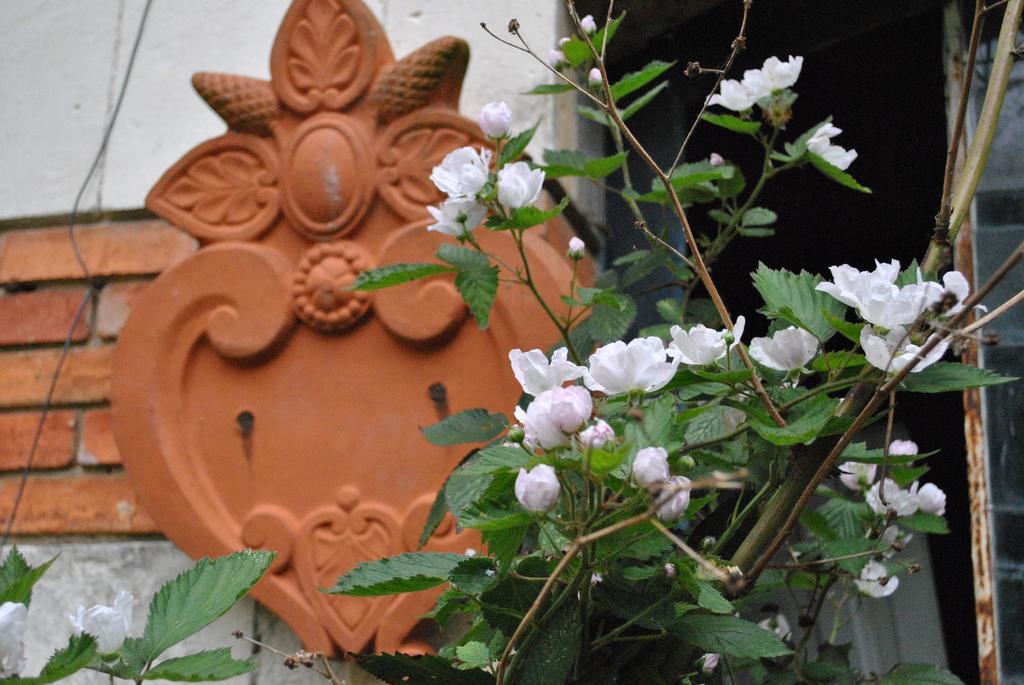 Bed and Breakfast Le Ragois Richelieu Exterior foto