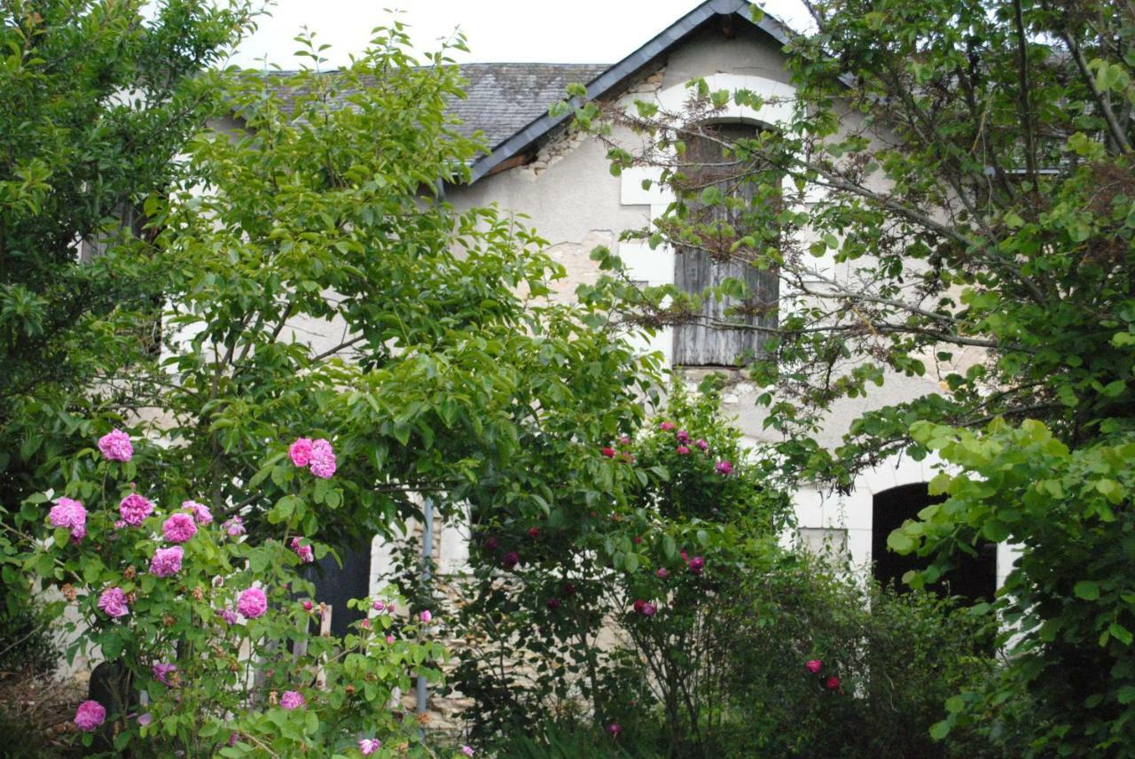 Bed and Breakfast Le Ragois Richelieu Exterior foto
